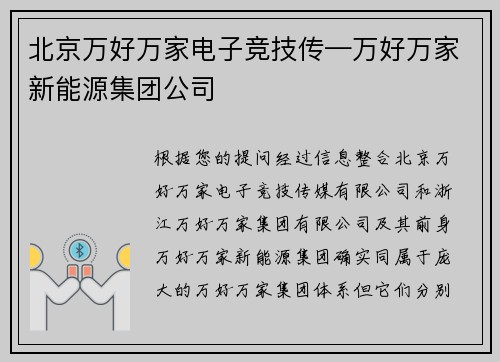 北京万好万家电子竞技传—万好万家新能源集团公司